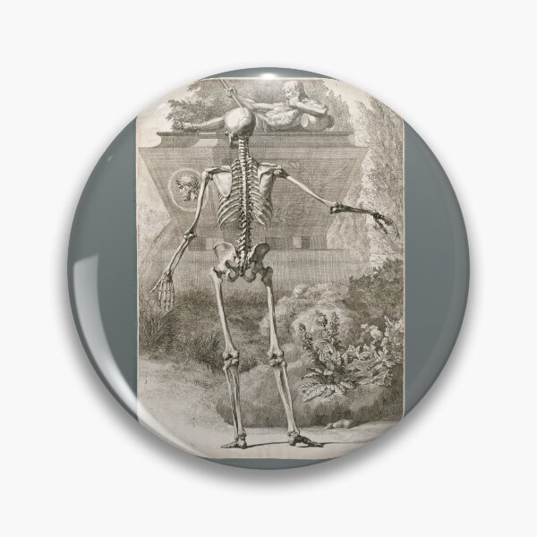 Item preview, Dorsal View of a Human Skeleton by Jan Wandelaar designed and sold by Amanda1775.