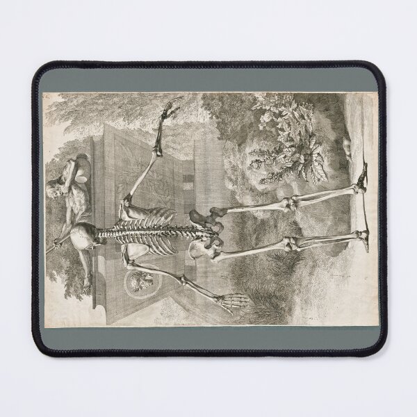 Item preview, Dorsal View of a Human Skeleton by Jan Wandelaar designed and sold by Amanda1775.