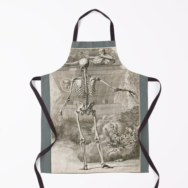 Item preview, Dorsal View of a Human Skeleton by Jan Wandelaar designed and sold by Amanda1775.