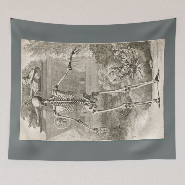 Item preview, Dorsal View of a Human Skeleton by Jan Wandelaar designed and sold by Amanda1775.