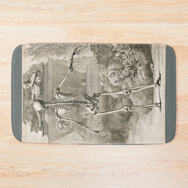 Item preview, Dorsal View of a Human Skeleton by Jan Wandelaar designed and sold by Amanda1775.