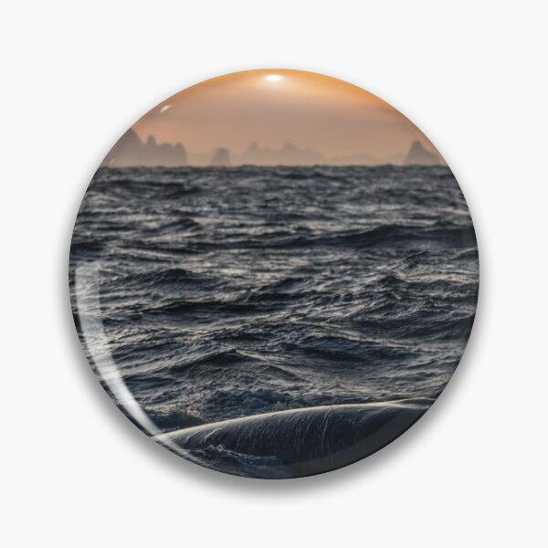 Item preview, Grand Bond University eWhales Explore Waters designed and sold by Sarahsumer.