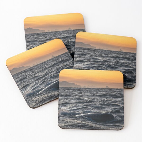 Item preview, Grand Bond University eWhales Explore Waters designed and sold by Sarahsumer.
