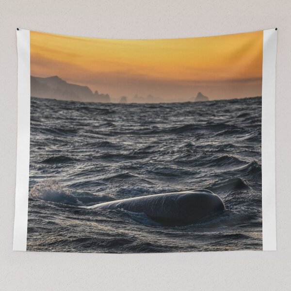 Item preview, Grand Bond University eWhales Explore Waters designed and sold by Sarahsumer.