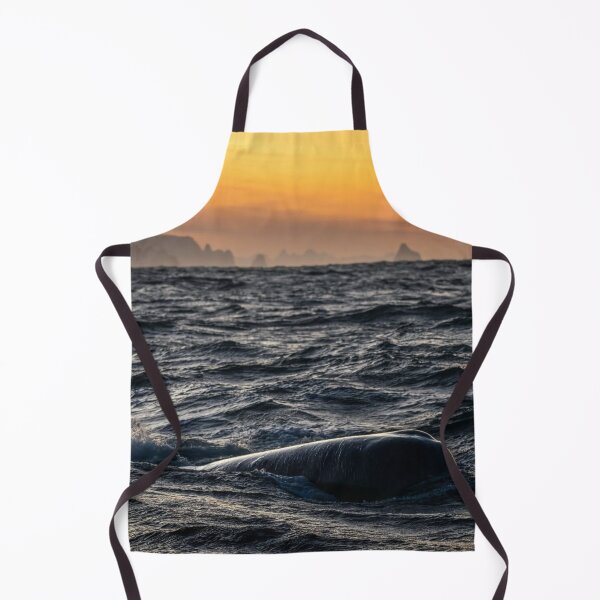 Item preview, Grand Bond University eWhales Explore Waters designed and sold by Sarahsumer.