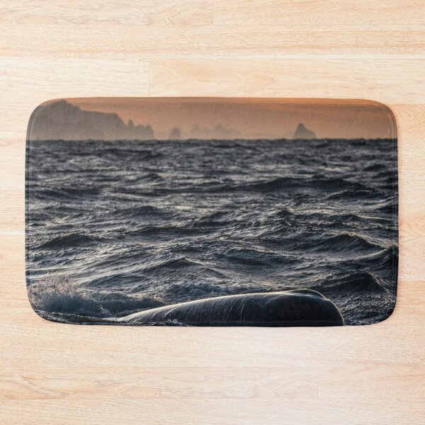 Item preview, Grand Bond University eWhales Explore Waters designed and sold by Sarahsumer.