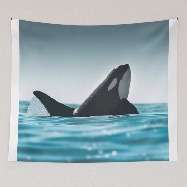 Item preview, Whales Bond University dGlide Across Seas designed and sold by Sarahsumer.