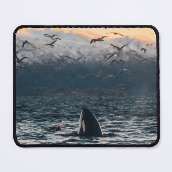 Item preview, Ocean Bond University cWhales Inspire Travelers designed and sold by Sarahsumer.