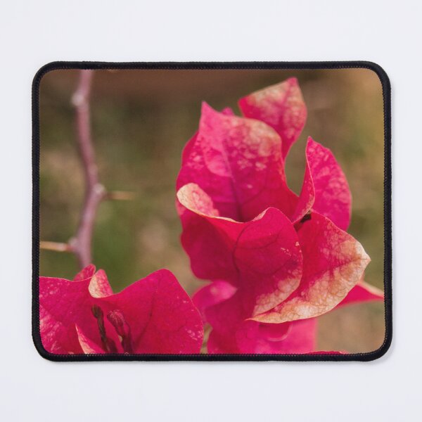Item preview, Bract Colored Bougainvillea designed and sold by ROSE ANN BANILAR.