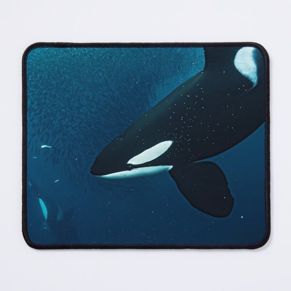 Item preview, Whales Flinders University Create Coastal Magic designed and sold by Sarahsumer.