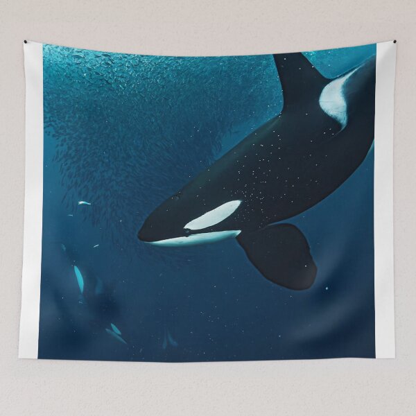 Item preview, Whales Flinders University Create Coastal Magic designed and sold by Sarahsumer.