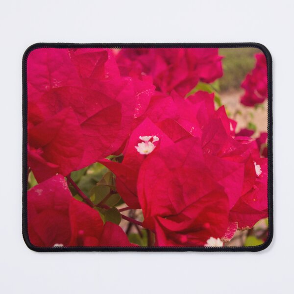 Item preview, Bract Colored Bougainvillea_02 designed and sold by ROSE ANN BANILAR.