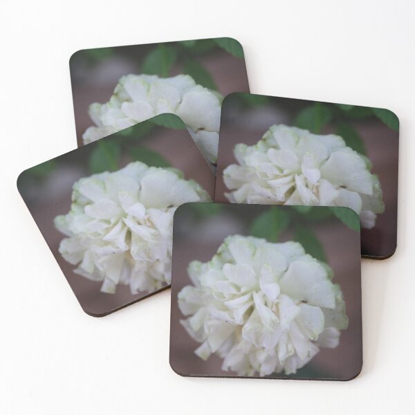 Item preview, Banksian rose designed and sold by ROSE ANN BANILAR.