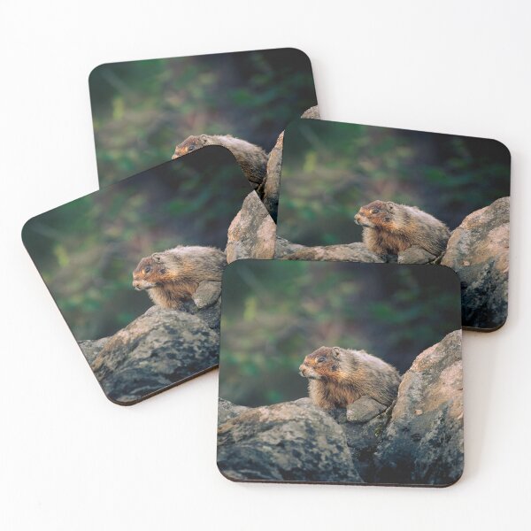 Item preview, Yellow-Bellied Marmot Among Mountain Rocks - Wildlife | Elwynn WildLight Photography designed and sold by Elwynn WildLight Photography.