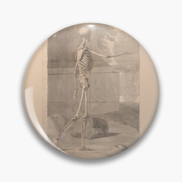 Item preview, Lateral View of the Human Skeleton by Jan Wandelaar designed and sold by Amanda1775.