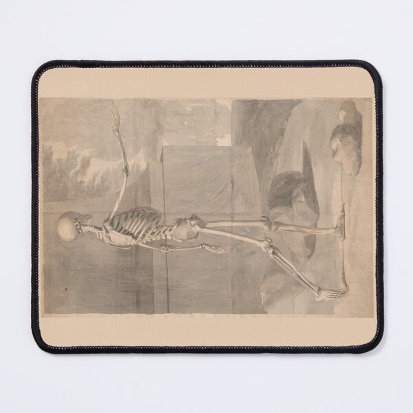 Item preview, Lateral View of the Human Skeleton by Jan Wandelaar designed and sold by Amanda1775.