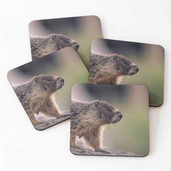 Item preview, Yellow-Bellied Marmot Profile on Rock - Wildlife | Elwynn WildLight Photography designed and sold by Elwynn WildLight Photography.