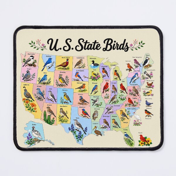 Item preview, U.S. State Birds Map Illustration designed and sold by The-Drip-Studio.