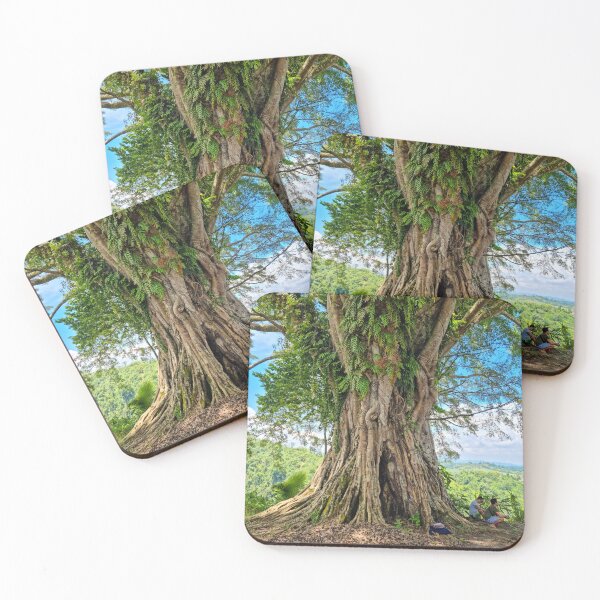 Item preview, Ancient Philippine Balete Tree - Enchanted Banyan | Mystical Nature & Giant Tree Art designed and sold by Ross.A.Campbell.