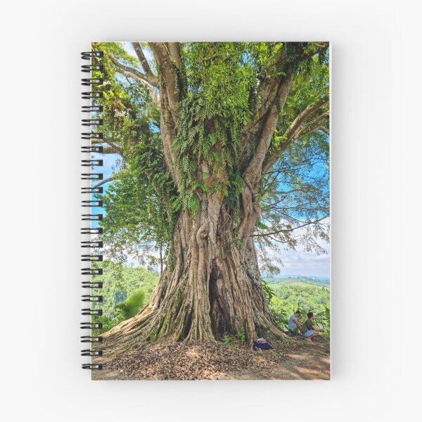 Item preview, Ancient Philippine Balete Tree - Enchanted Banyan | Mystical Nature & Giant Tree Art designed and sold by Ross.A.Campbell.