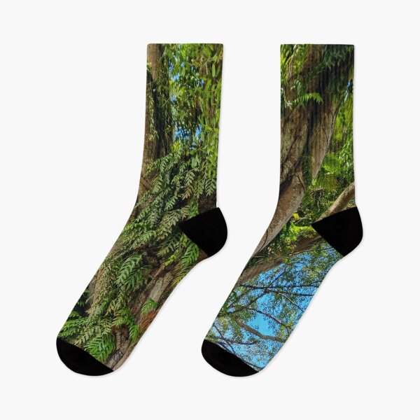 Item preview, Ancient Philippine Balete Tree - Enchanted Banyan | Mystical Nature & Giant Tree Art designed and sold by Ross.A.Campbell.