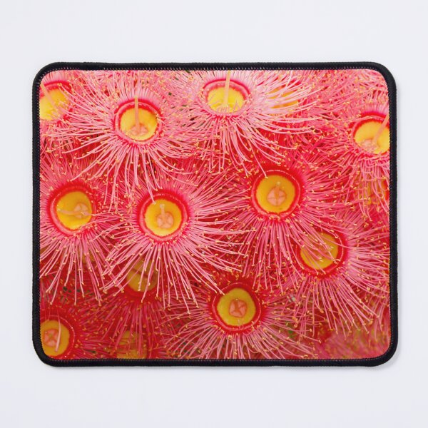 Item preview, Red Flowering Gum - Iconic Australian Native | Vibrant Crimson Eucalyptus Flora Art designed and sold by Ross.A.Campbell.
