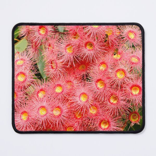 Item preview, Red Flowering Gum - Iconic Australian Native | Vibrant Crimson Eucalyptus Flora Art designed and sold by Ross.A.Campbell.