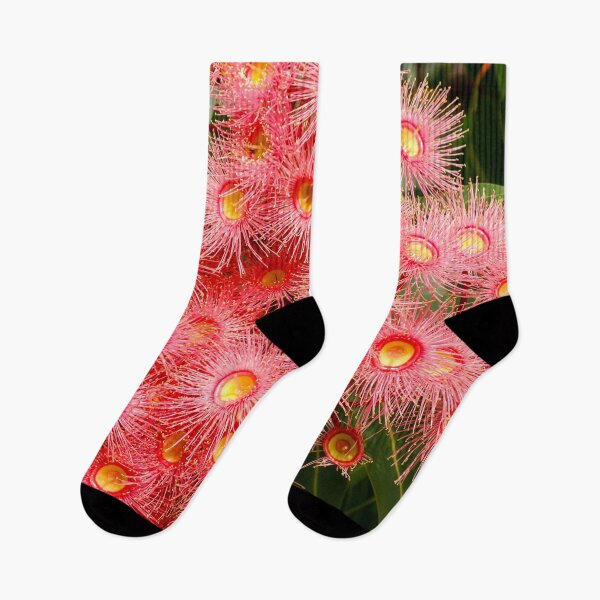 Item preview, Red Flowering Gum - Iconic Australian Native | Vibrant Crimson Eucalyptus Flora Art designed and sold by Ross.A.Campbell.