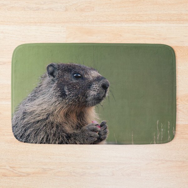 Item preview, Yellow-Bellied Marmot Eating Fruit - Wildlife | Elwynn WildLight Photography designed and sold by Elwynn WildLight Photography.