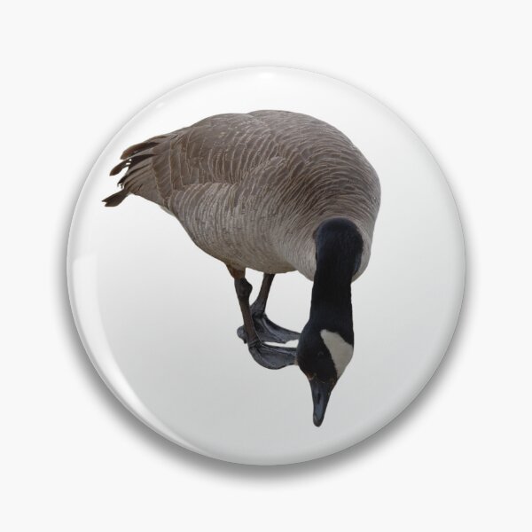 Item preview, Hungry Goose - Nosing for Food designed and sold by naturetimes.