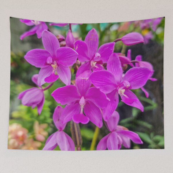 Item preview, Purple Orchid (Spathoglottis plicata) - Tropical Ground Orchid | Vibrant Floral & Nature Art designed and sold by Ross.A.Campbell.