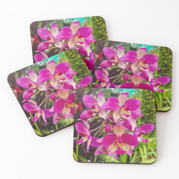 Item preview, Pink Orchid (Spathoglottis x parsonsii) - Tropical Hybrid | Soft Pastel Floral & Nature Art designed and sold by Ross.A.Campbell.