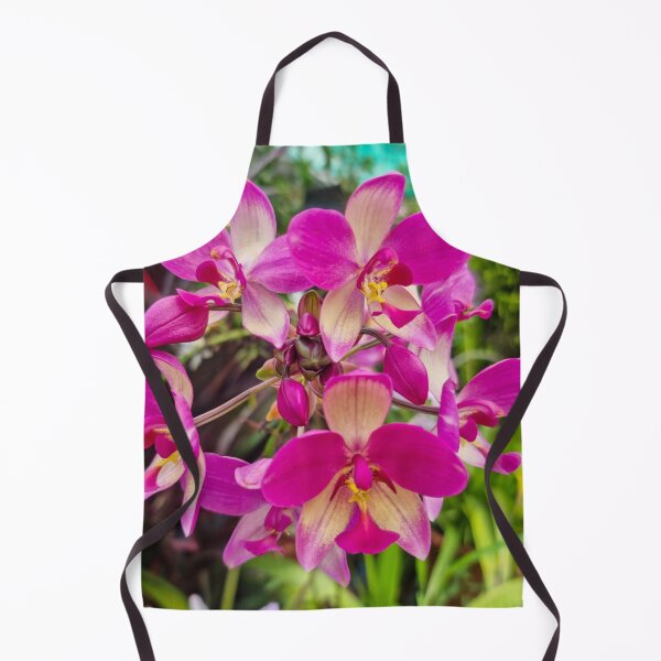 Item preview, Pink Orchid (Spathoglottis x parsonsii) - Tropical Hybrid | Soft Pastel Floral & Nature Art designed and sold by Ross.A.Campbell.