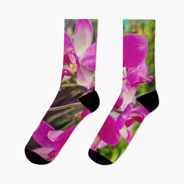 Item preview, Pink Orchid (Spathoglottis x parsonsii) - Tropical Hybrid | Soft Pastel Floral & Nature Art designed and sold by Ross.A.Campbell.