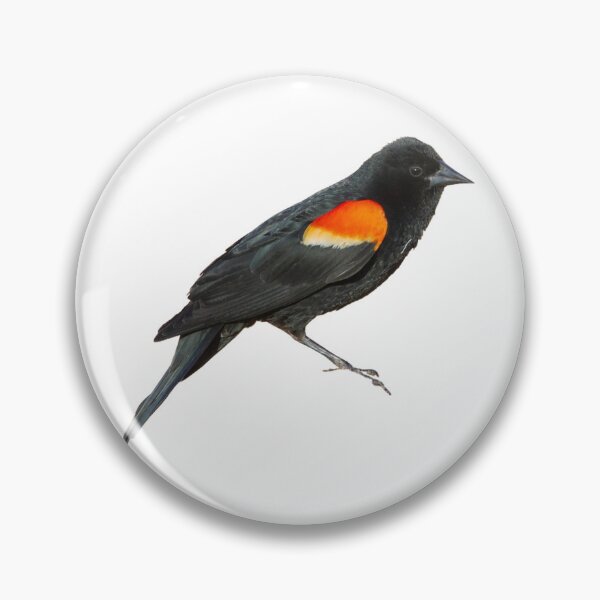Item preview, Red-Winged Blackbird designed and sold by kyra0nicole.