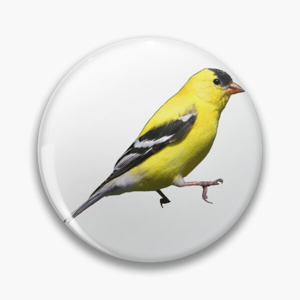 Item preview, American Goldfinch designed and sold by kyra0nicole.