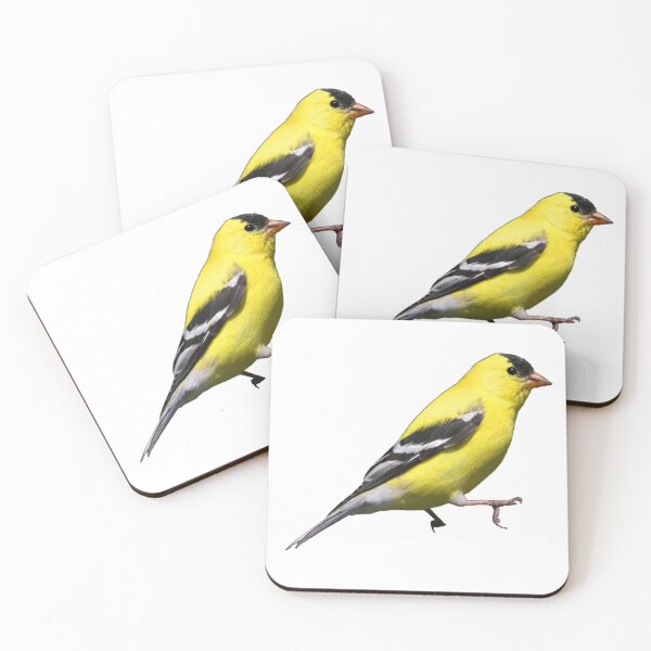 Item preview, American Goldfinch designed and sold by kyra0nicole.