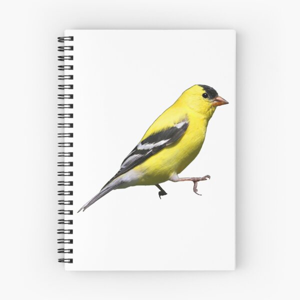 Item preview, American Goldfinch designed and sold by kyra0nicole.