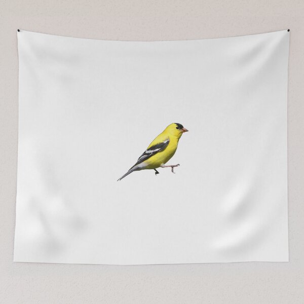 Item preview, American Goldfinch designed and sold by kyra0nicole.