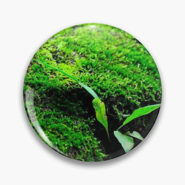 Item preview, Stone covered in moss with grass designed and sold by OneKaasarts.