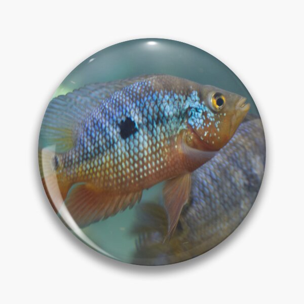 Item preview, Rainbow Fish designed and sold by gremlin__boy.