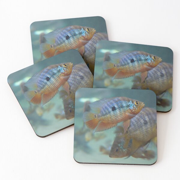 Item preview, Rainbow Fish designed and sold by gremlin__boy.