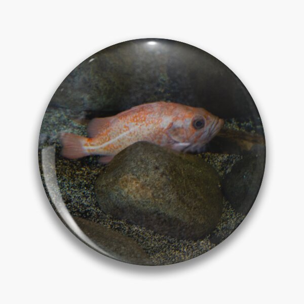 Item preview, Hidden Friend designed and sold by gremlin__boy.
