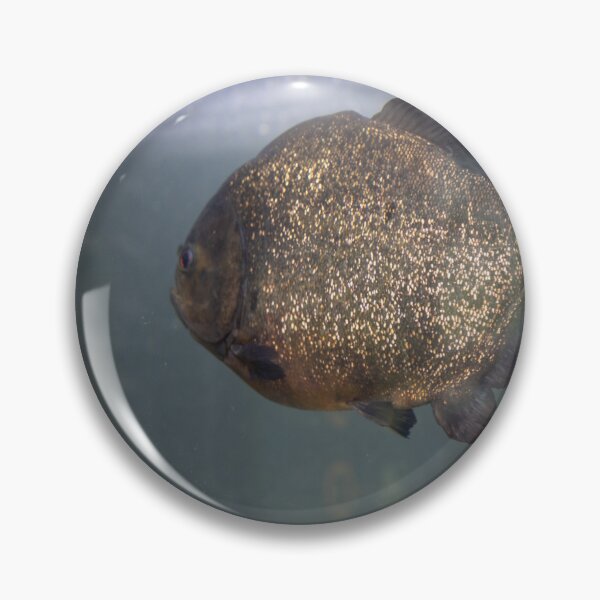 Item preview, Floating Treasure designed and sold by gremlin__boy.