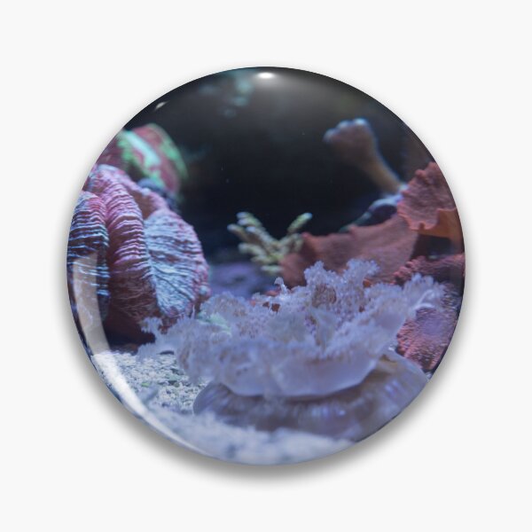 Item preview, Reef Jelly designed and sold by gremlin__boy.