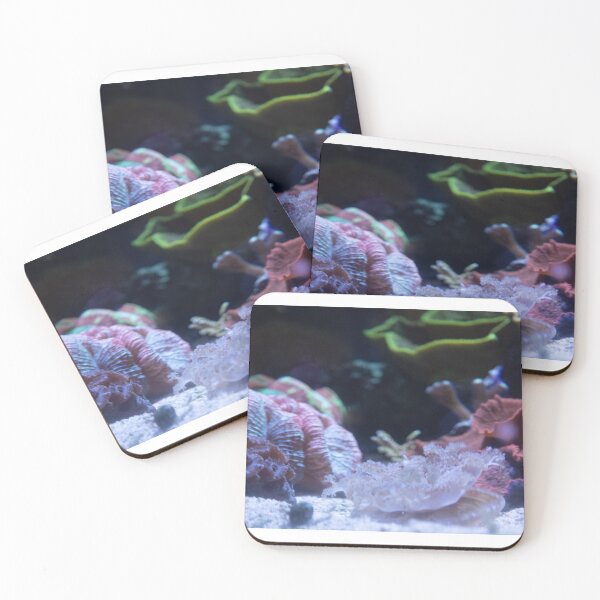 Item preview, Reef Jelly (V2) designed and sold by gremlin__boy.