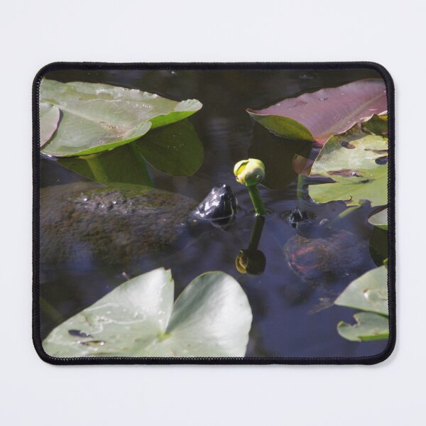 Item preview, Turtle Family Dinner designed and sold by MatthewThomasDaniels.