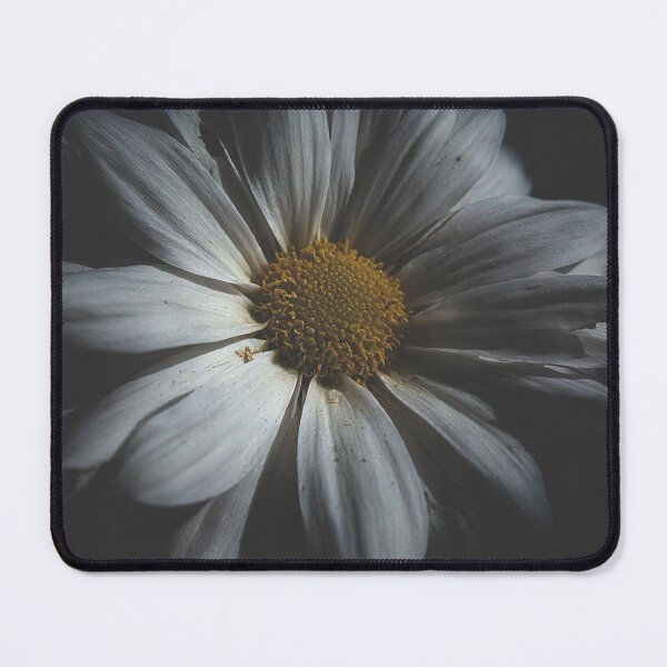 Item preview, Eternal Zhejiang University Shade Vision designed and sold by lekhacitylight.