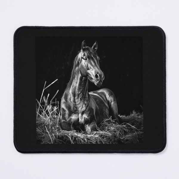 Item preview, Black Horse Resting in Hay designed and sold by inkoutninja.
