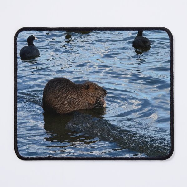 Item preview, Prague Buffalo Wild Wings Cobblestone Stories designed and sold by Harrisonvibes.